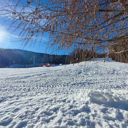 Apartamento At Granny's