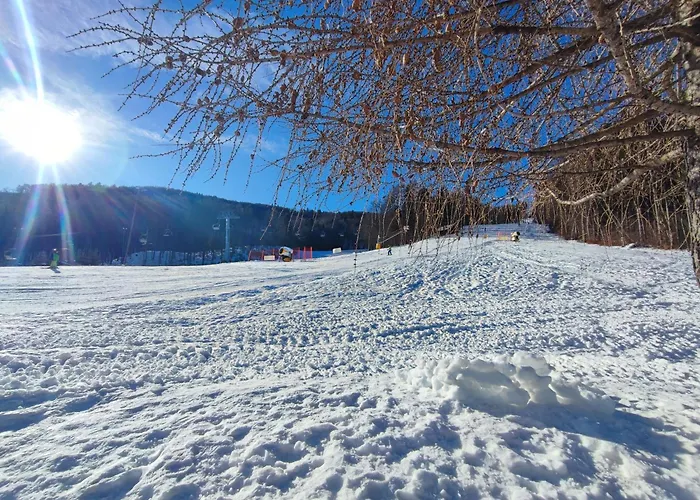 Apartment At Granny's